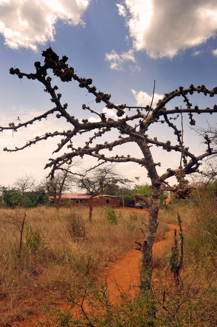 View trhough to the Administrative Offices