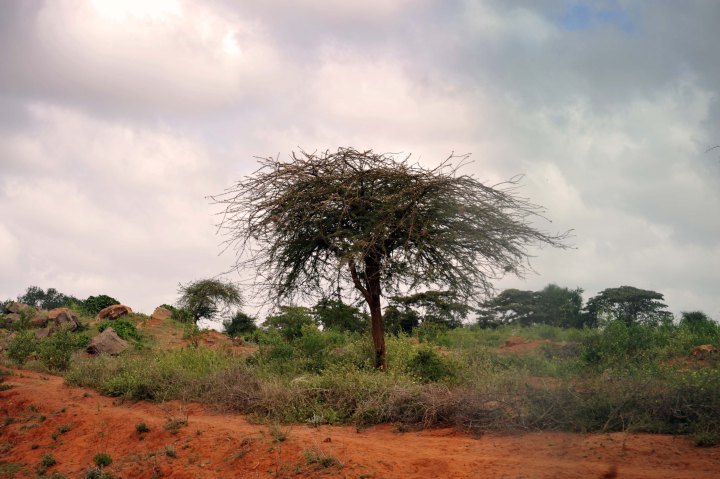 Drive to Nyumbani Village