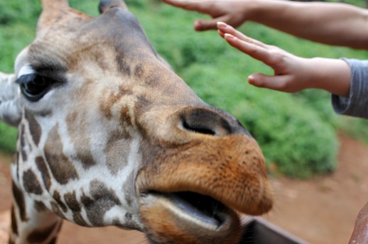 Up close and personal....