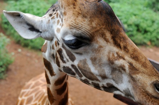 Up close and personal...