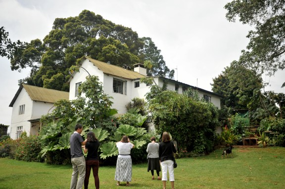 All of us being entertained by the Colobus monkeys on the roof