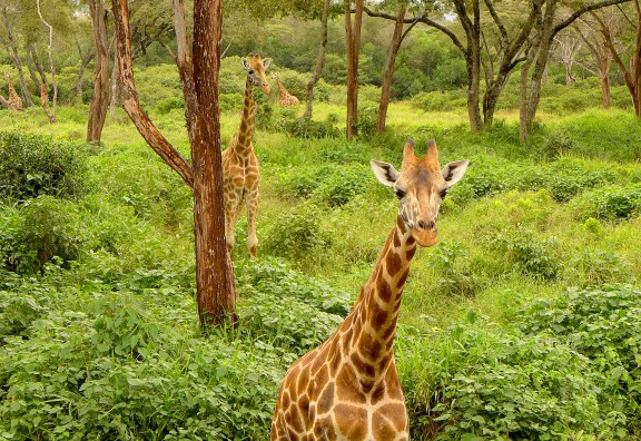 and then they got closer