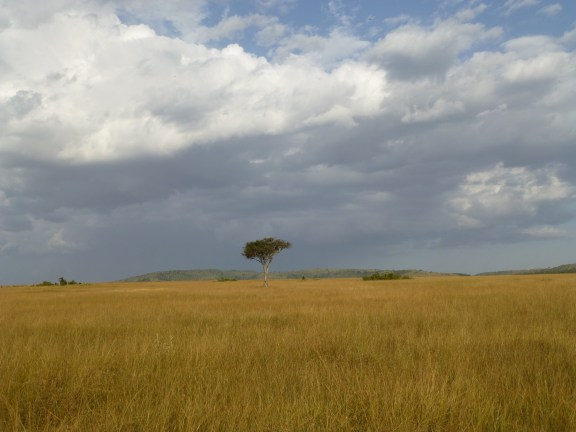 Beautiful Kenya!
