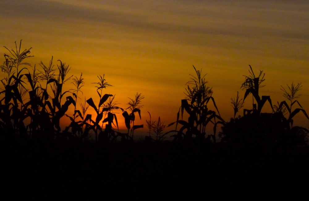 Drive to Albanus's home