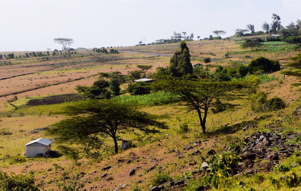 Looking down into the Rift