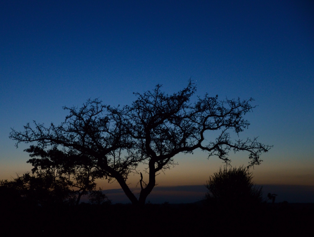 Nyumbani Village at Dusk