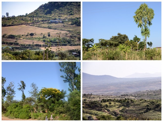 Travel to Nyumbani Village