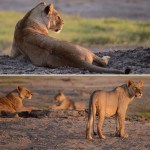 ADC5AB8D-1D72-4334-A417-E8B9B79A54B3