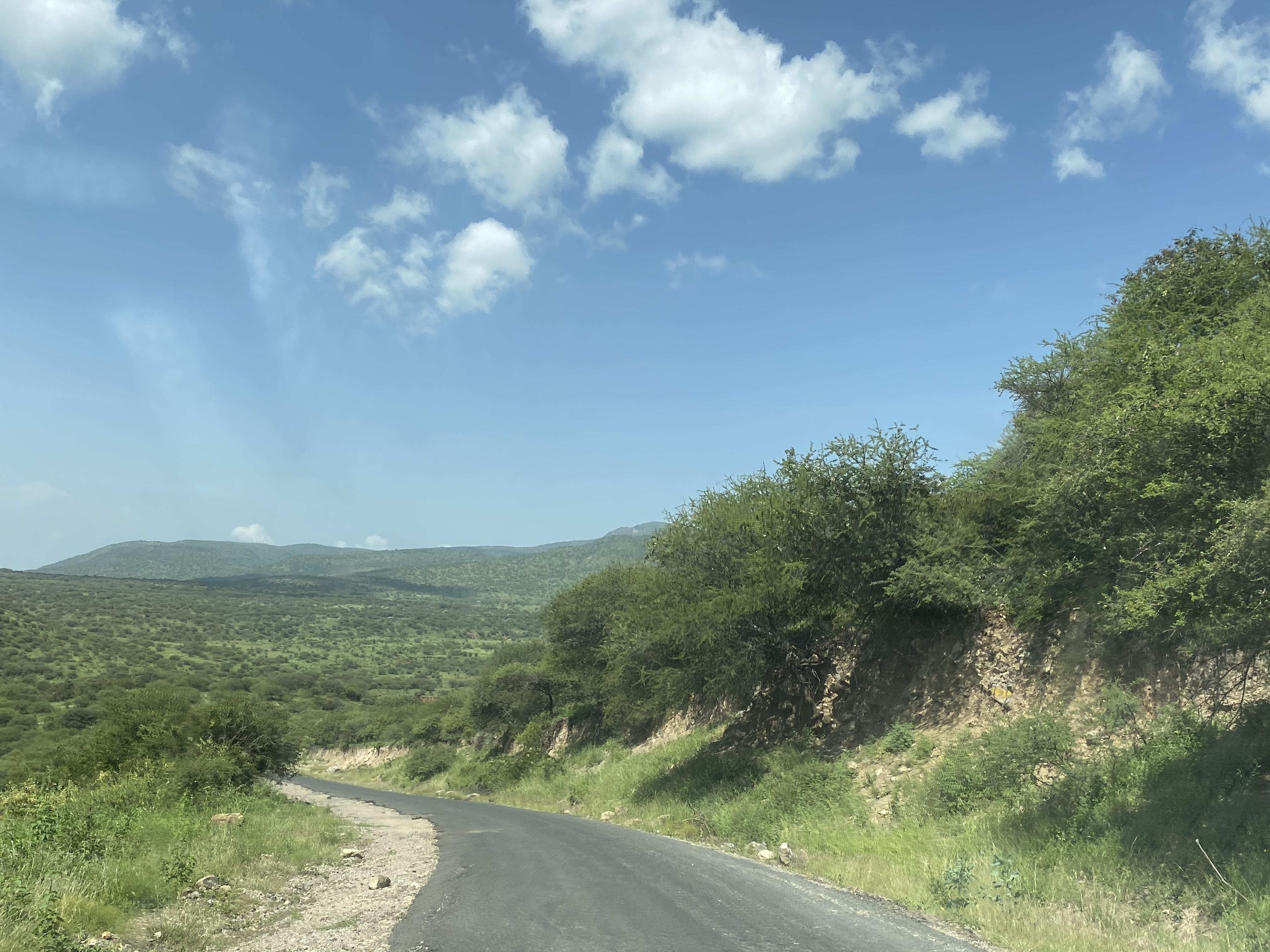 3DC38DD8-BD49-48D6-A9DA-86CC630F9704