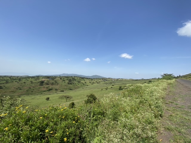 DE2D5F81-038D-4C3F-B926-62CA249A2D8E