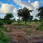 2BA78175-DADD-4F81-9D2C-67F8ABCA3132