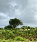 E337F549-12E5-4F21-94D4-880349C25F26