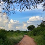 EDD043AD-3EE8-4706-936D-DC39DE93EC3A